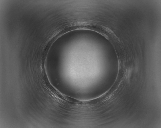 X0000054421209200508011348