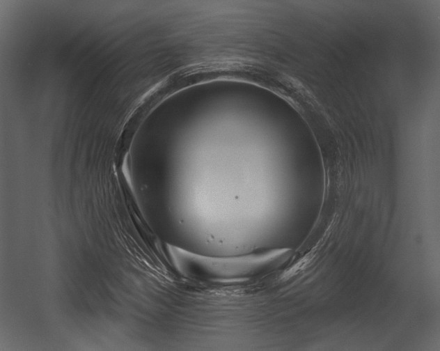 X0000054421210200508011348