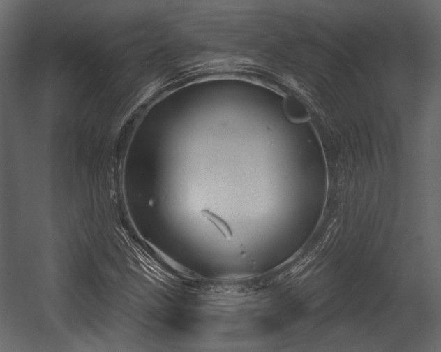 X0000054421211200508011348