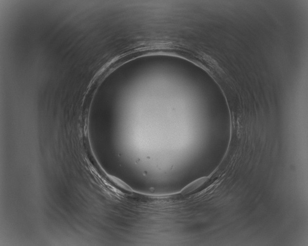 X0000054421212200508011348