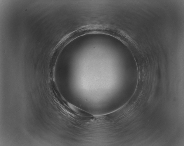 X0000054421213200508011348