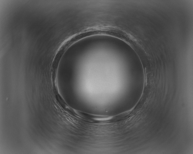 X0000054421214200508011349