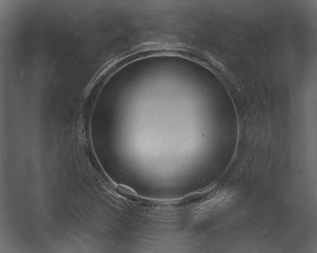 X0000054421215200508011349