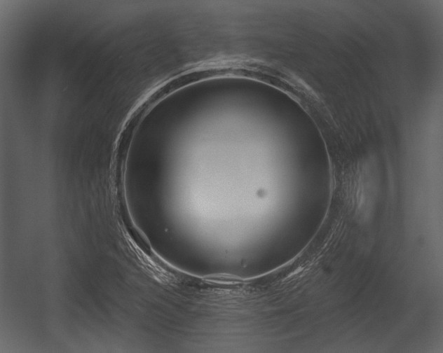 X0000054421216200508011349