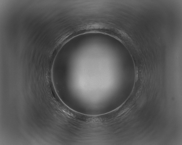 X0000054421217200508011349