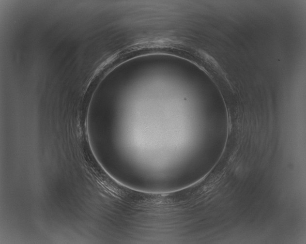 X0000054421218200508011349