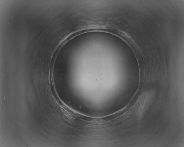 X0000054421220200508011349