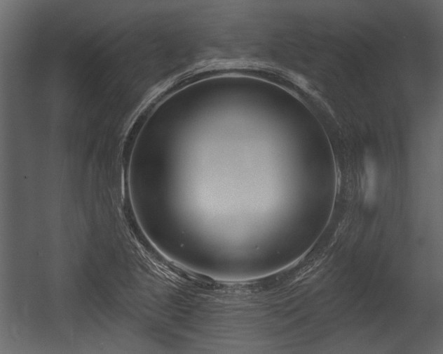 X0000054421221200508011349