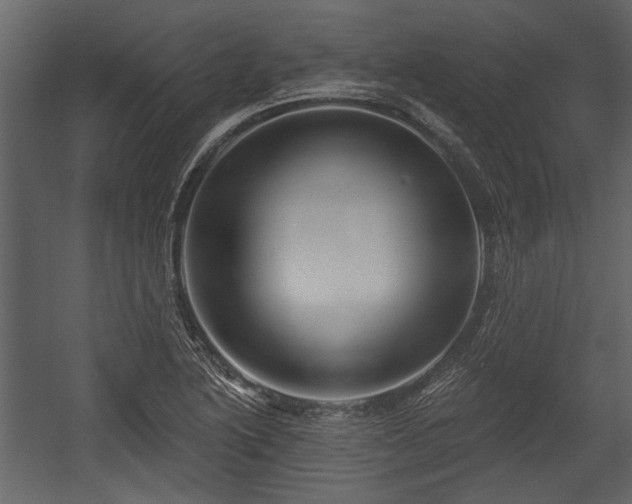 X0000054421222200508011349