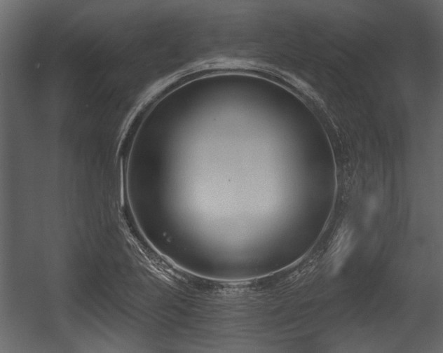 X0000054421223200508011349