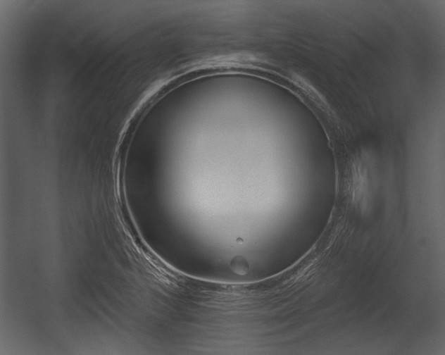 X0000054421224200508011349