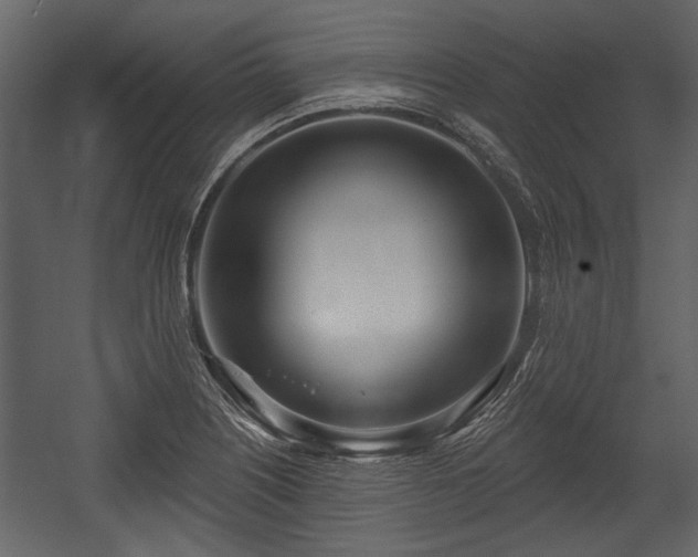 X0000054421226200508011349