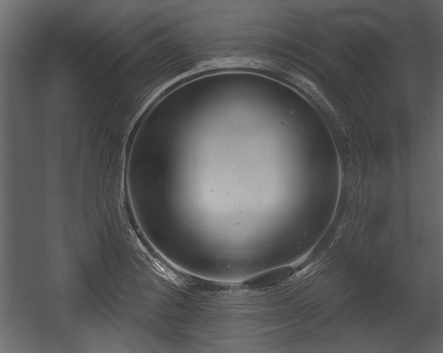 X0000054421228200508011349