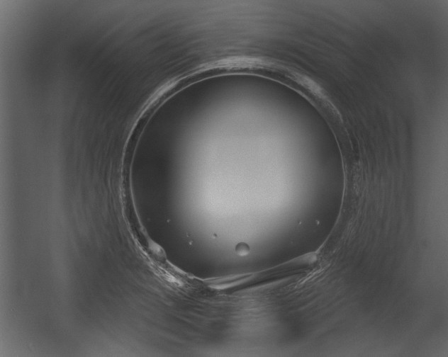 X0000054421229200508011349