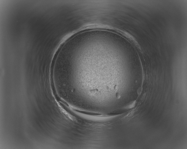 X0000054421231200508011349