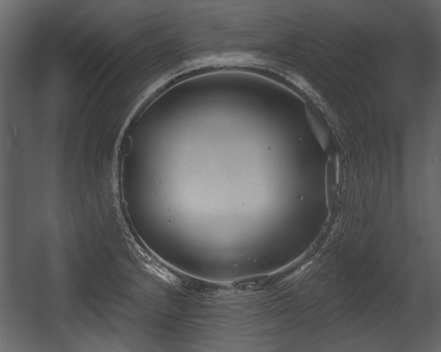 X0000054421232200508011349