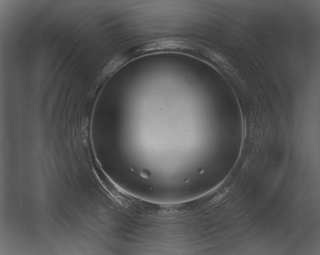 X0000054421233200508011349