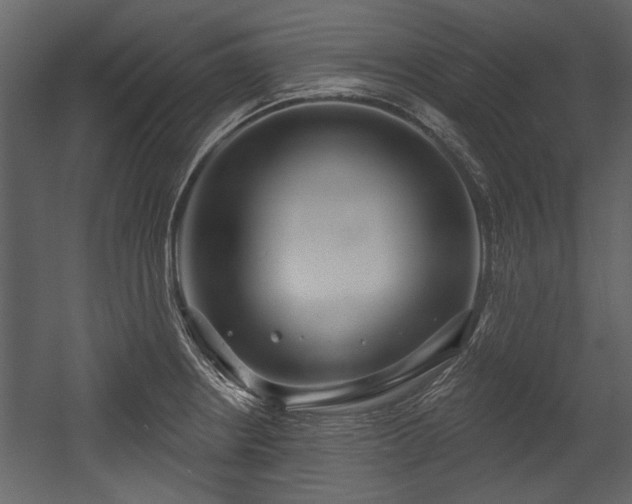 X0000054421234200508011349