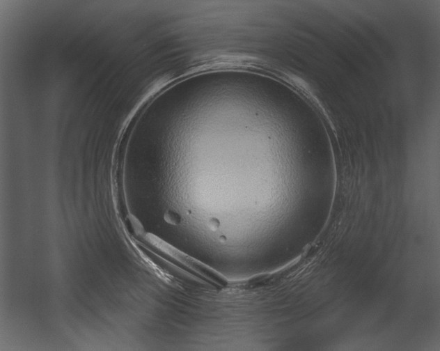 X0000054421235200508011349