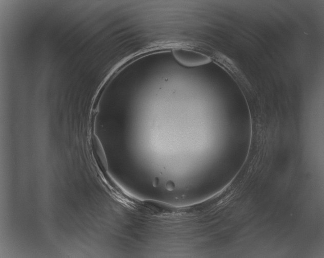 X0000054421236200508011349