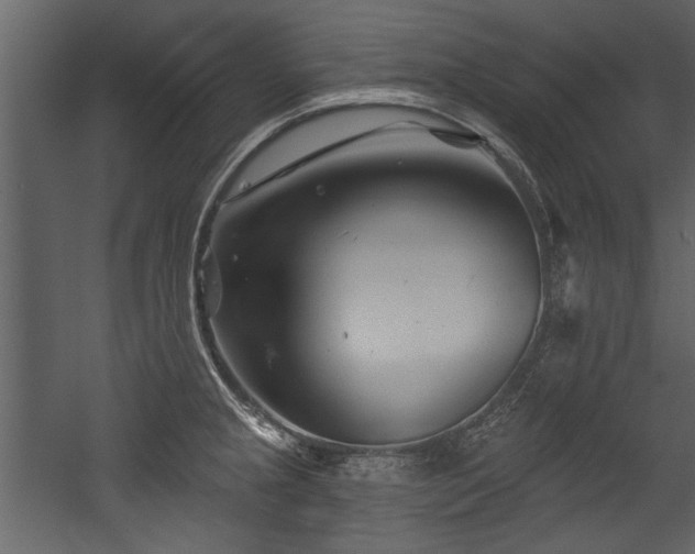 X0000054421237200508011349