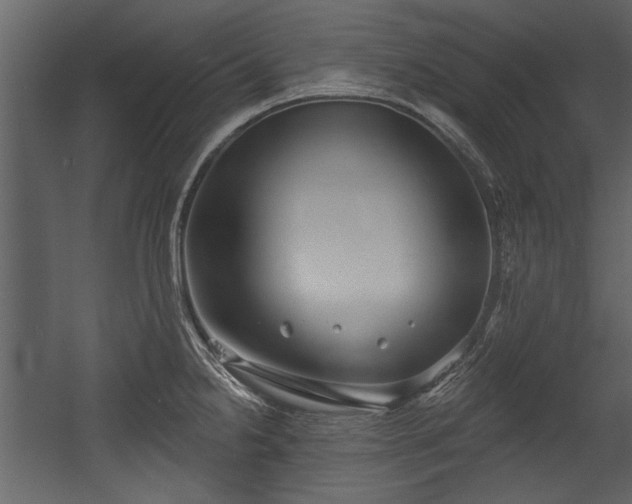 X0000054421238200508011349