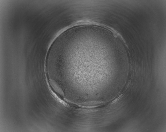 X0000054421239200508011349