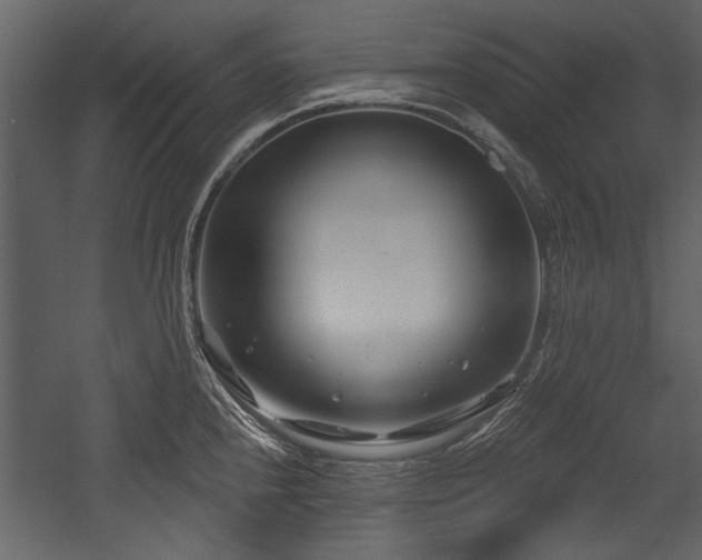 X0000054421240200508011349