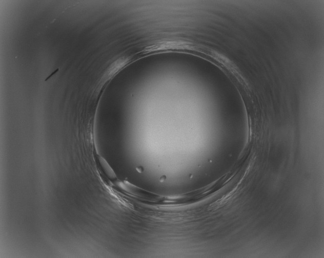 X0000054421241200508011349