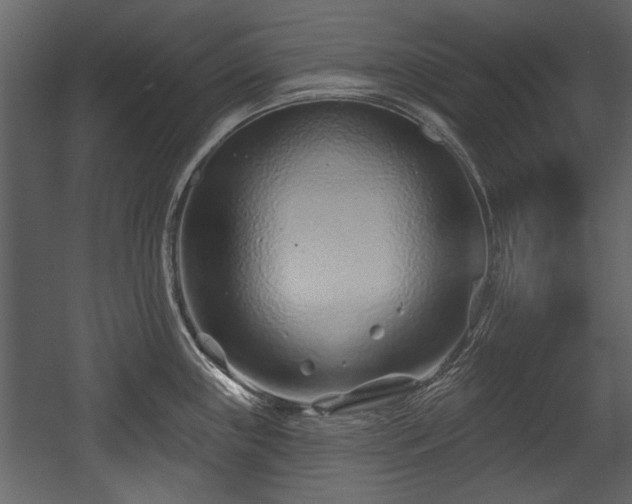 X0000054421243200508011349