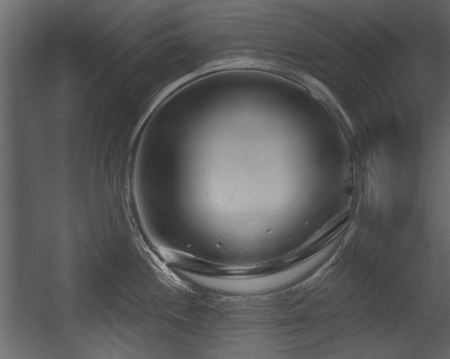 X0000054421244200508011349