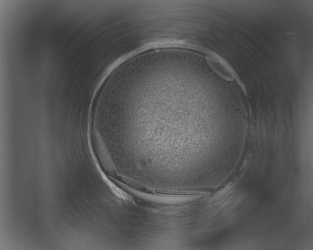 X0000054421245200508011349