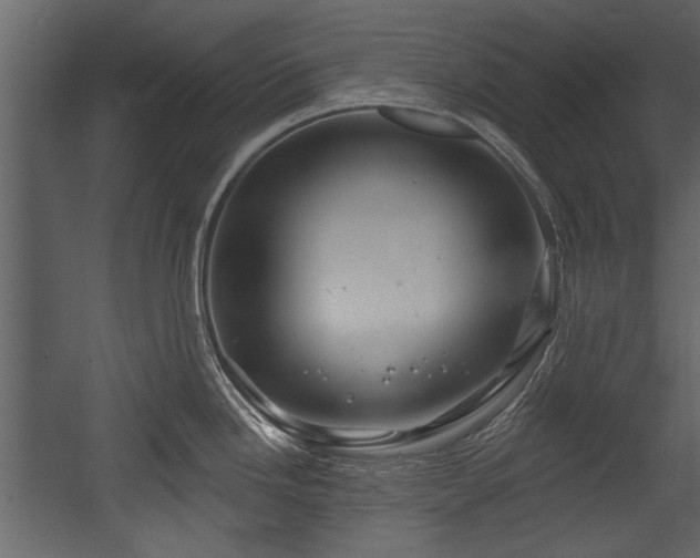 X0000054421246200508011349