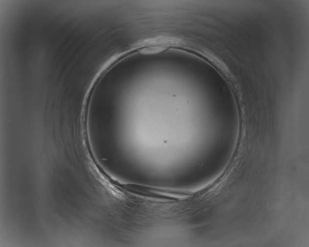 X0000054421248200508011349