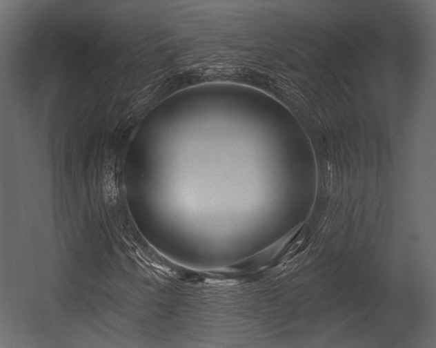 X0000054421250200508011348