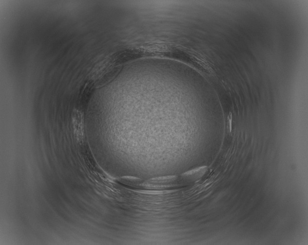 X0000054421251200508011348