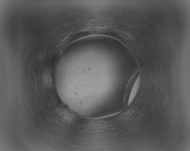 X0000054421252200508011348