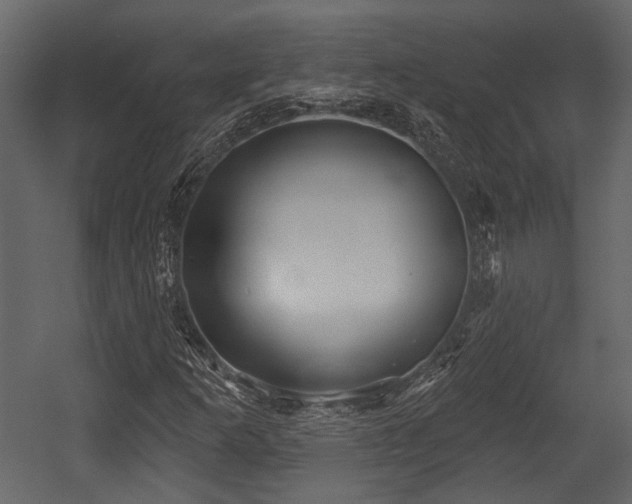 X0000054421253200508011348