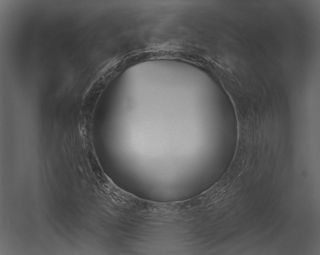 X0000054421254200508011348