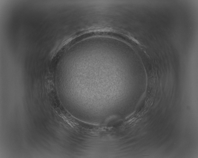 X0000054421255200508011348