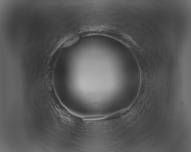 X0000054421256200508011348