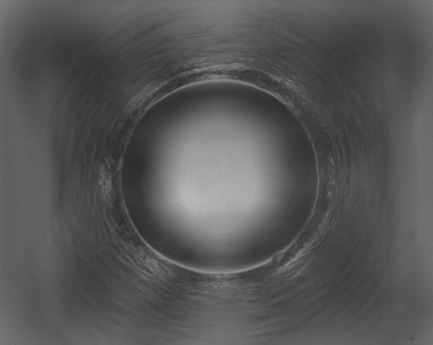 X0000054421257200508011348