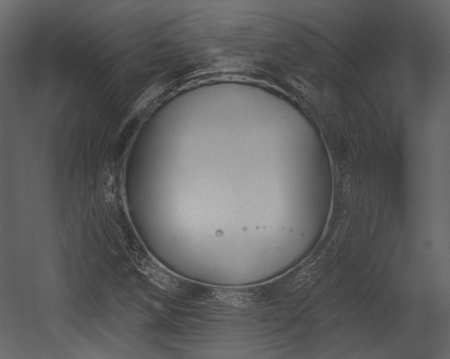 X0000054421258200508011348