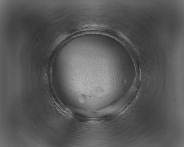 X0000054421259200508011348