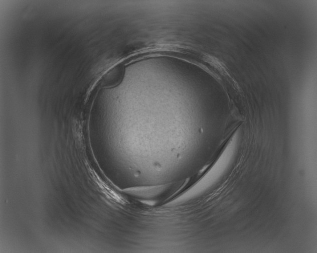 X0000054421260200508011348