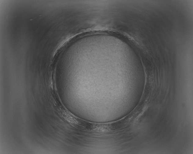 X0000054421262200508011348