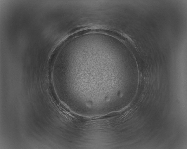 X0000054421263200508011348