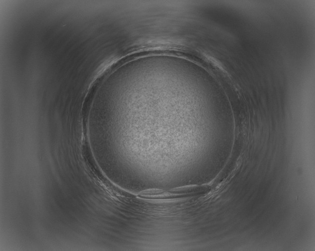 X0000054421267200508011348