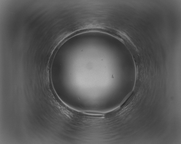 X0000054421268200508011348