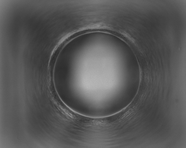 X0000054421270200508011348